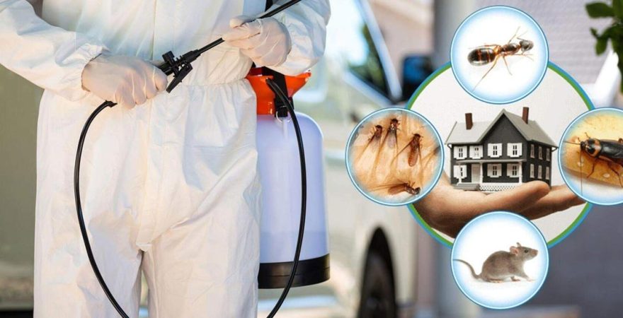 Menteşe Böcek İlaçlama