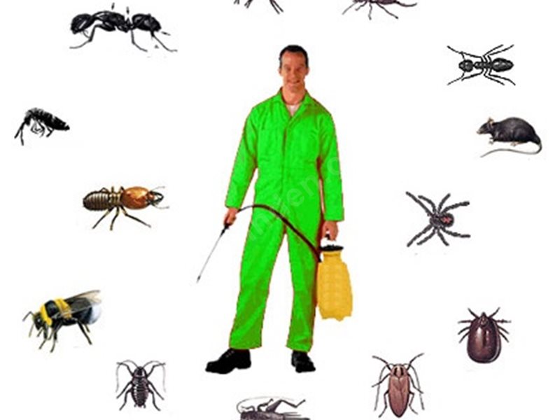 Menteşe Böcek İlaçlama